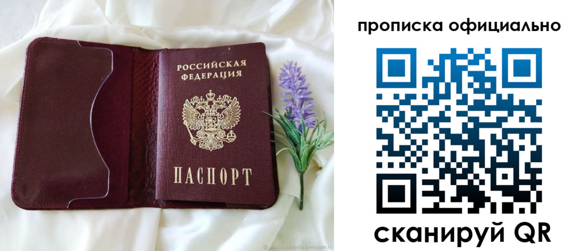 прописка поиск в Сатке